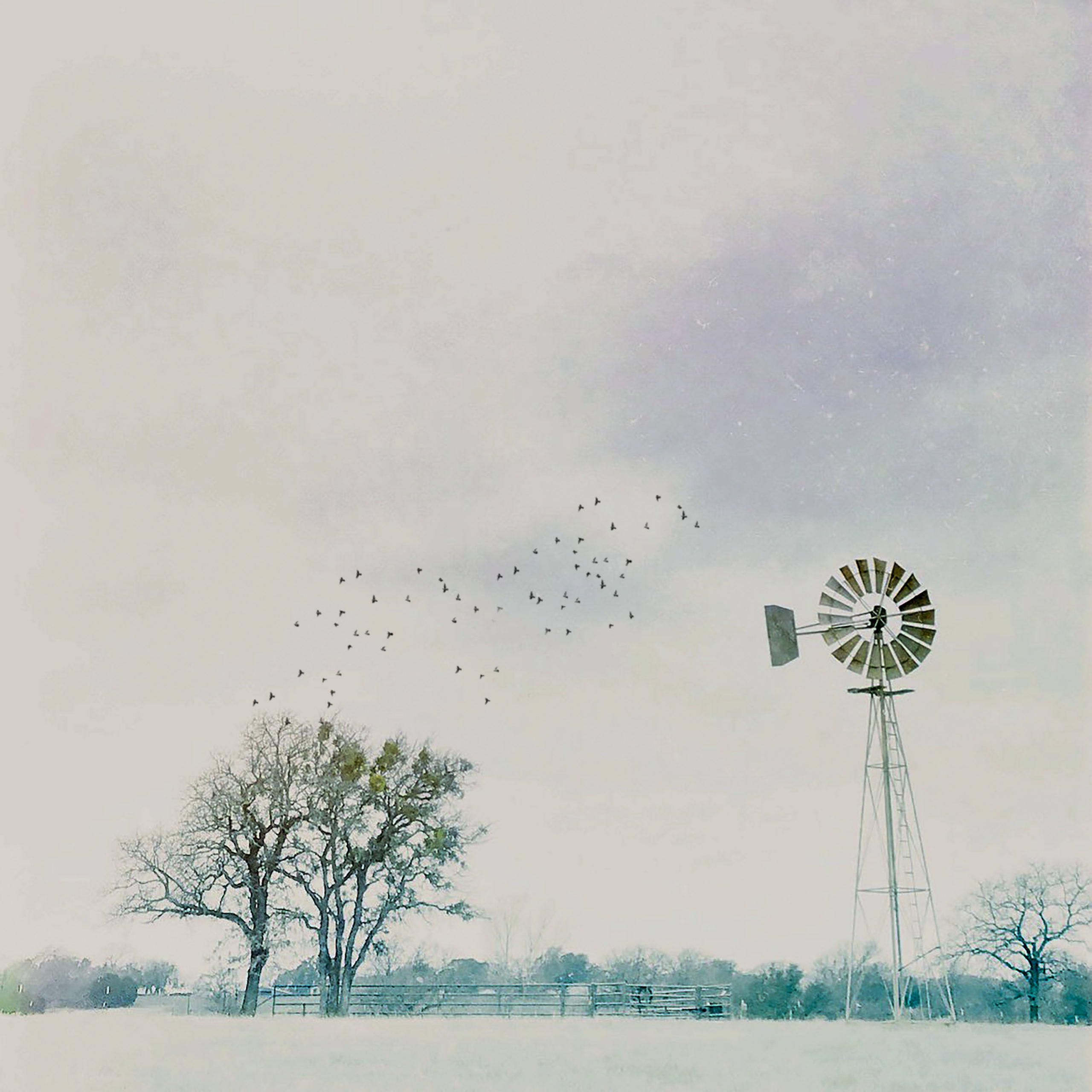 snowwindmill copy