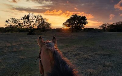 Summertime sunsets -inspiration for pottery glazes