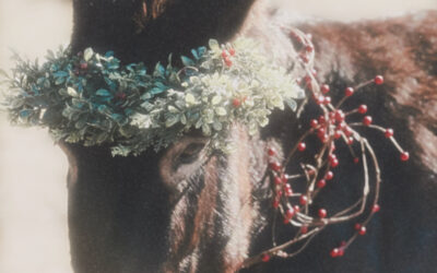 The magic of December