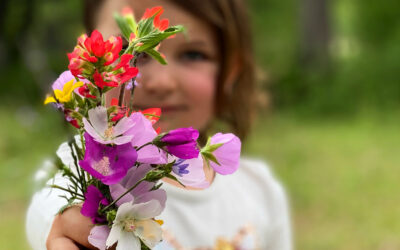 Spring and new beginnings