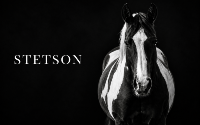 Stetson